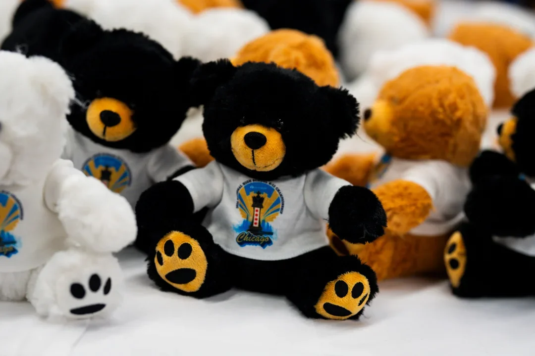 Bears