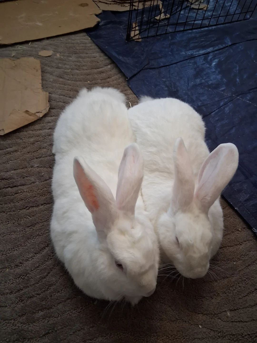 Billy Joel and Einstein