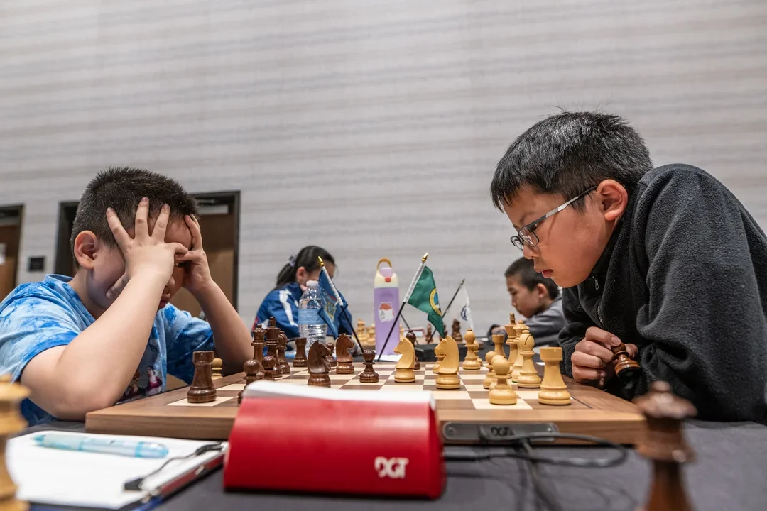Wang Zhu
