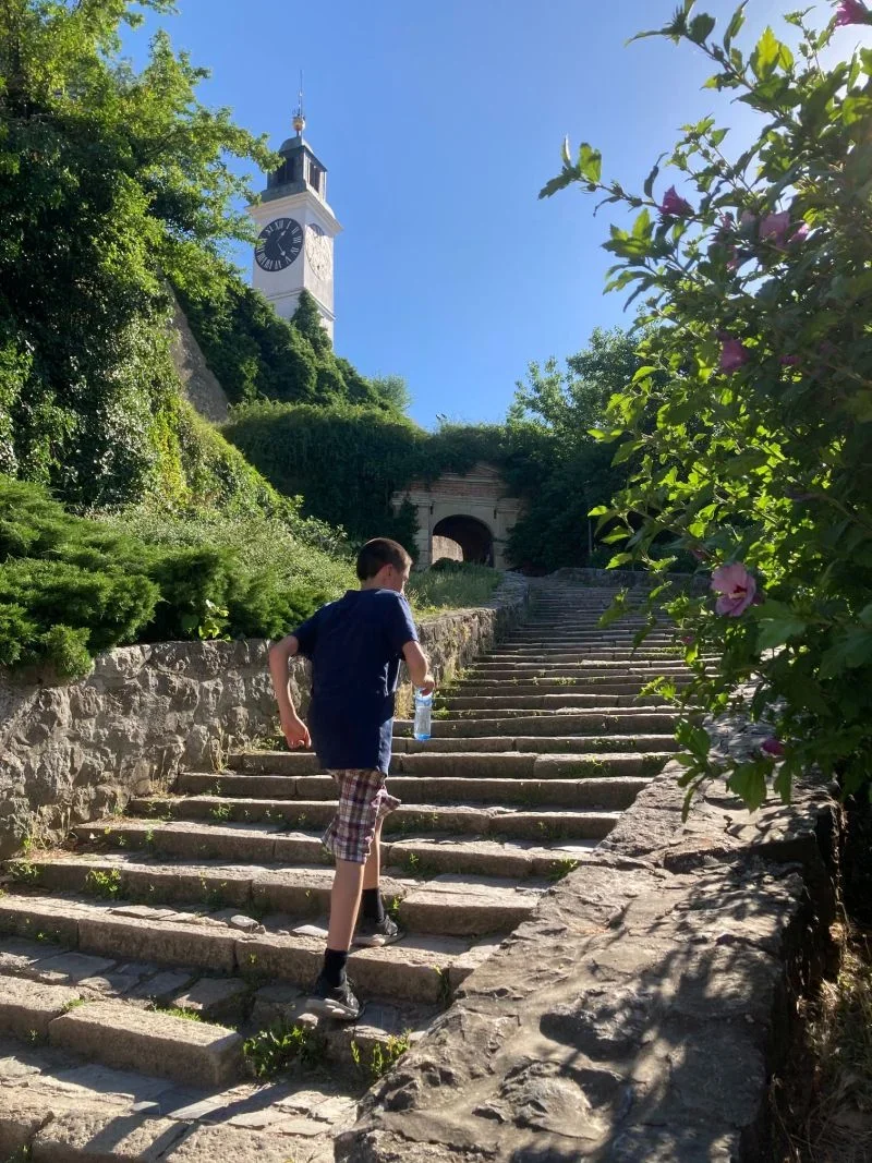 Woodward climbing the stairs to the Petrovaradin Fortress