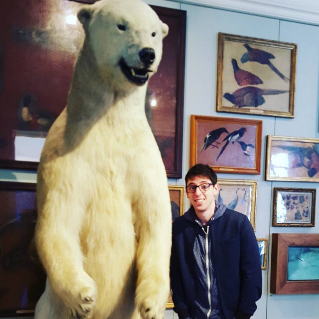 Me and my spirit animal, the forlorn polar bear