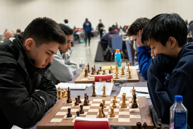 Motivating Factors in Elite Chess Players: A Review - NHSJS